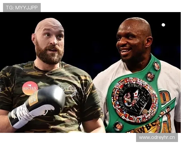 泰森·富里睡醒发现自家马场又多了两匹新马