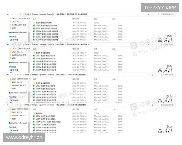 比赛中断规则是什么？最新判罚标准与实战处理方式解析
